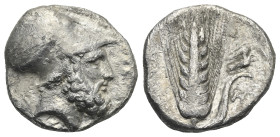 LUCANIA. Metapontion. Circa 340-330 BC. Stater (Silver, 20.18 mm, 7.68 g). Struck under Ami- magistrate. [ΛΕΥΚΙΠΠΟΣ] Helmeted head of Leukippos right....