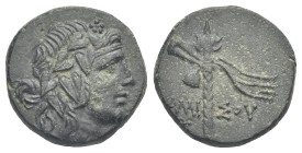 PONTUS. Amisos. Time of Mithradates VI, circa 110-100 BC. Bronze (Bronze, 17.43 mm, 3.56 g). Struck circa 105-85 or 85-65 BC. Head of Dionysos right, ...