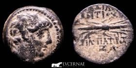 Seleukid Antiochos IX Æ Bronze Unit 6,32 g. 18 mm. Syria 114-95 AD Good fine