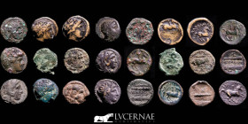 Macedonian Kingdom Bronze 12 coins group AE16/AE17 Macedonian 359-323 B.C. Very Fine