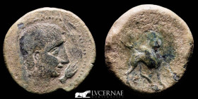 Castulo Bronze As 15.60 g. 28 mm. Hispania (Linares, Jaén) 150-80 B.C. GF