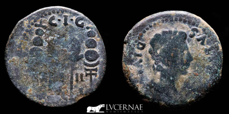 Roman Empire - Augustus (27 B.C.- 14 A.D.) bronze as (12,26 g, 29 mm.) minted in...