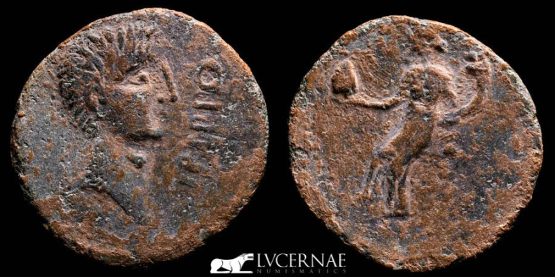 Roman Hispania, Irippo (southern Sevilla province area). Augustus 27 BC-AD 14. Æ...