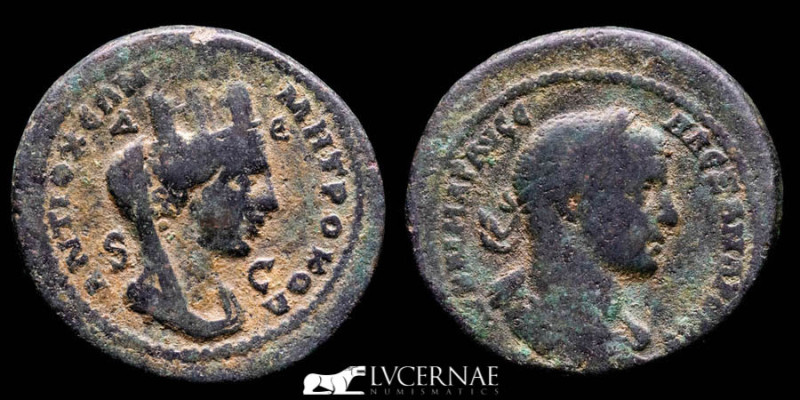 Roman Empire (Provincial) - Severus Alexander, Seleucis and Pieria (Antioch, Syr...