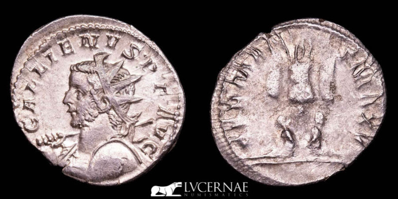 Roman Empire - Gallienus (AD 253-268) 
Silver Antoninianus (2,92 g. 23 mm) Colog...