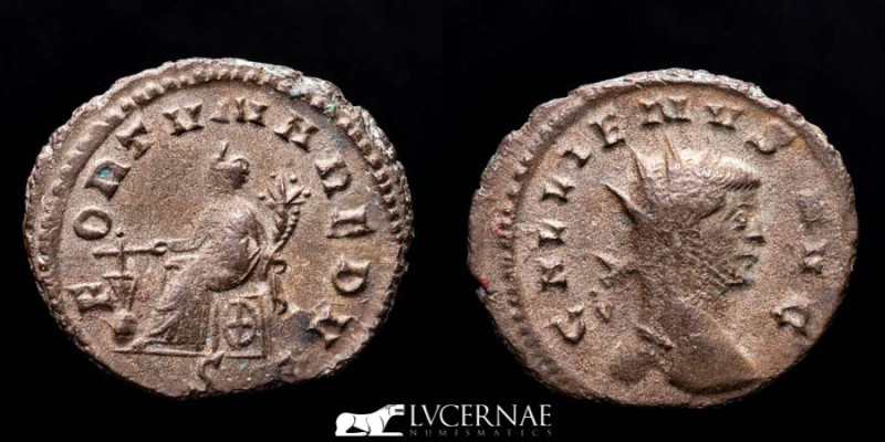 Roman Empire - Gallienus in the sole reign (260-268 A.D.). Silvered antoninianus...