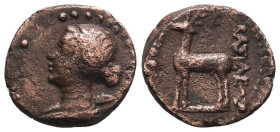 Greek Coins. 4th - 1st century B.C. AE
Reference:
Condition: Very Fine

Weight:3.1g