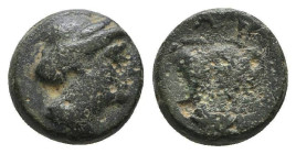 Greek Coins. 4th - 1st century B.C. AE
Reference:
Condition: Very Fine

Weight:1.4g