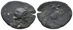 Greek Coins. 4th - 1st century B.C. AE
Reference:
Condition: Very Fine

Weight:3.6g