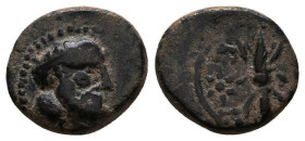Greek Coins. 4th - 1st century B.C. AE
Reference:
Condition: Very Fine

Weight:1.6g