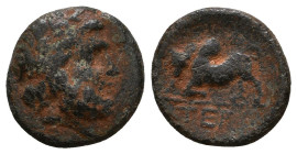 Greek Coins. 4th - 1st century B.C. AE
Reference:
Condition: Very Fine

Weight:2g