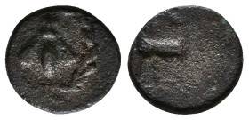 Greek Coins. 4th - 1st century B.C. AE
Reference:
Condition: Very Fine

Weight:1.3g