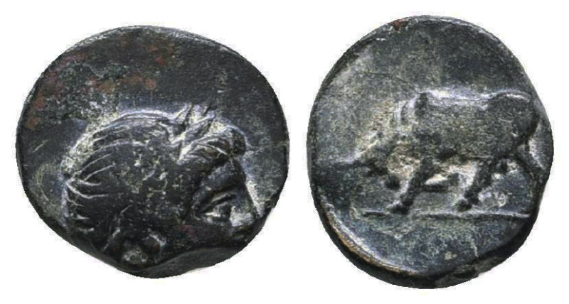 Greek Coins. 4th - 1st century B.C. AE
Reference:
Condition: Very Fine

Weig...