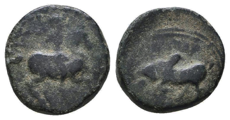 Greek Coins. 4th - 1st century B.C. AE
Reference:
Condition: Very Fine

Weig...