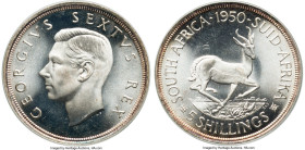 George VI Prooflike 5 Shillings 1950 PL68 PCGS, Pretoria mint, KM40.1, Hern-S315. An incredible Jewel pulsating with uninterrupted luster across the s...