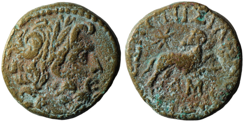 Seleucis and Pieria under Silanus. (12-13 AD). Pseudo-autonomous Bronze Æ. Antio...