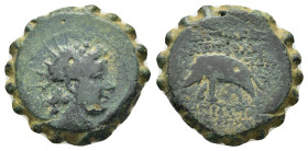 SELEUKID KINGS of SYRIA.Antiochos VI.(144-142 BC).Ae.

Condition : Good very fine.

Weight : 13.48 gr
Diameter : 22 mm