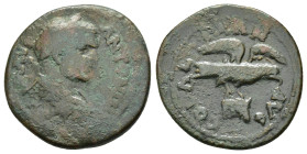 TROAS. Alexandria. Caracalla (198-217). Ae.

Condition : Good very fine.

Weight : 8.65 gr
Diameter : 25 mm