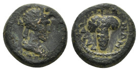 LYDIA. Daldis. Pseudo-autonomous. Time of Septimius Severus (193-211). Ae.

Obv : Turreted and draped bust of Tyche right.

Rev : ΔAΛΔIANΩN.
Grape bun...