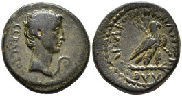 PHRYGIA. Amorium. Augustus (27 BC–AD 14). Assarion (AE, 21 mm, 6.24 g) Alexandros, son of Kallipos, magistrate.

ΣΕΒΑΣΤΟΣ Bare head of Augustus righ...