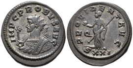 Probus (AD 276–282). Antoninianus (AE, 24 mm, 4.98 g) AD 276–282, Ticinum mint.

IMP C PROBVS AVG Radiate bust of Probus left in consular robes, hol...