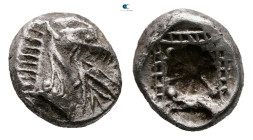 Caria. Kindya circa 510-480 BC. 
Tetrobol AR

11 mm, 1,62 g



Very Fine