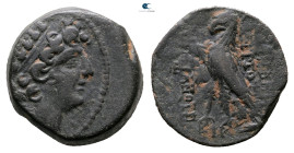 Seleukid Kingdom. Antioch on the Orontes. Antiochos VIII Epiphanes Grypos 121-97 BC. 
Bronze Æ

18 mm, 5,91 g



Very Fine