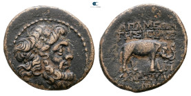Seleucis and Pieria. Apameia circa 100-0 BC. 
Bronze Æ

23 mm, 7,66 g



Very Fine