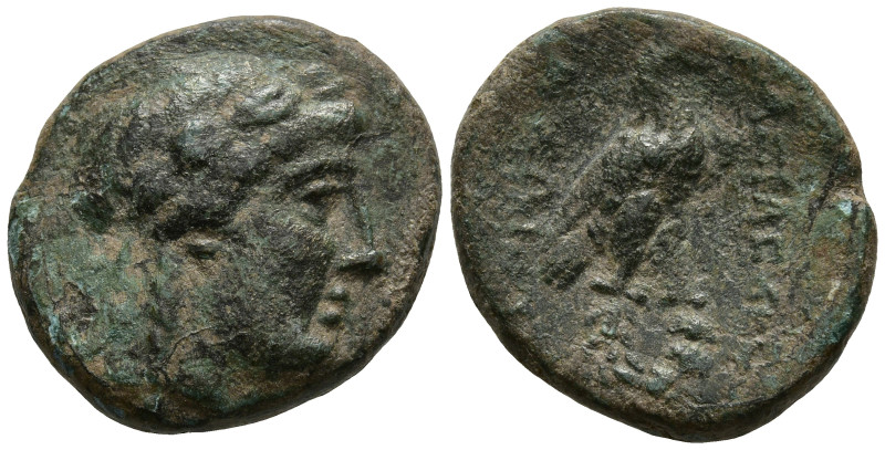 SELEUKID KINGS of SYRIA. Achaios, Usurper (220-214 BC). Sardes
AE Bronze (16.4m...