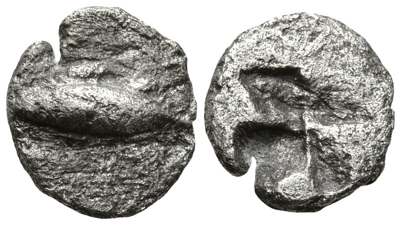 MYSIA. Kyzikos. (Circa 500 BC)
AR Obol (8.5mm 0.52g)
Obv: Tunny fish swimming ...