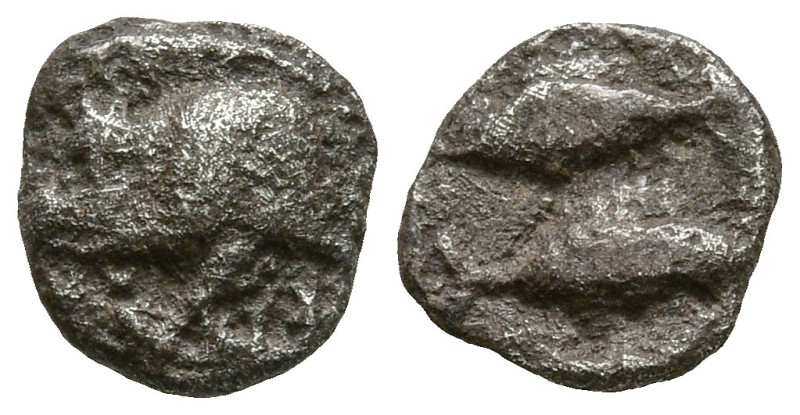 MYSIA. Kyzikos. (Circa 450-400 BC).
AR Hemiobol (5.9mm 0.2g)
Obv: Forepart of ...