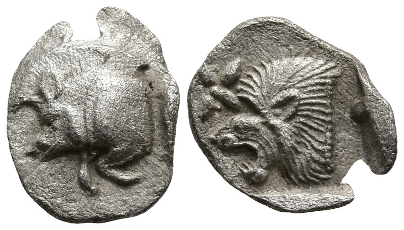 MYSIA. Kyzikos. (Circa 450-400 BC).
AR Hemiobol (8.5mm 0.36g)
Obv: Forepart of...