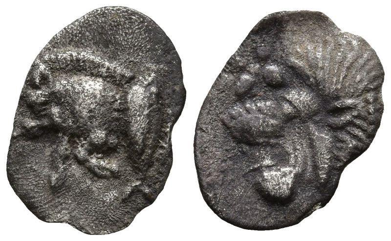 MYSIA. Kyzikos. (Circa 450-400 BC).
AR Hemiobol (8.5mm 0.25g)
Obv: Forepart of...