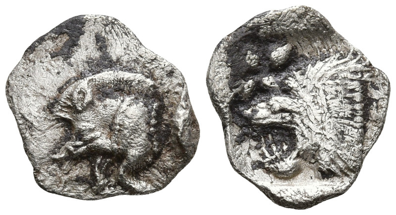 MYSIA. Kyzikos. (Circa 450-400 BC).
AR Hemiobol (9.4mm 0.29g)
Obv: Forepart of...