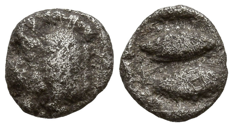 MYSIA. Kyzikos. (Circa 450-400 BC).
AR Hemiobol (6.1mm 0.22g)
Obv: Forepart of...