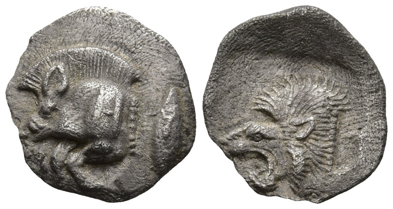 MYSIA. Kyzikos (Circa 450-400 BC)
AR Hemiobol (9.5mm 0.39g)
Obv: Forepart of r...