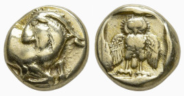 LESBOS. Mytilene. (Circa 454-428/7 BC)
EL Hekte (10.9mm 2.5g)
Obv: Forepart of a goat to right, head to left.
Rev. Owl standing facing, wings sprea...