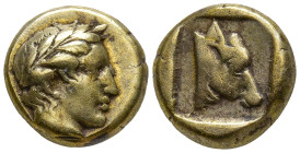 LESBOS. Mytilene. (Circa 454-428/7 BC)
EL Hekte (11mm 2.46g)
Obv.: Laureate head of Apollo right.
Rev.: Head of calf right, within square incuse.
...
