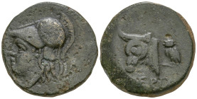 MYSIA. Pergamon. (Circa 310-282 BC).
AE Bronze (17.5mm 3.41g)
Obv: Head of Athena to left, wearing crested Corinthian helmet.
Rev: ΠΕΡΓA. Head of b...
