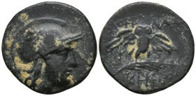 MYSIA. Pergamon. (Circa 200-133 BC).
AE Bronze (18mm 2.57g)
Obv: Head of Athena right, wearing helmet decorated with star.
Rev: AΘHNAΣ / NIKHΦOPOY....