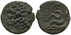 MYSIA. Pergamon (Circa 133-27 BC)
AE Bronze (20.4mm 7.5g)
Obv:Laureate head of Asklepios to right.
Rev: AΣKΛHΠIOΥ - ΣΩTHPOΣ Serpent coiled around o...