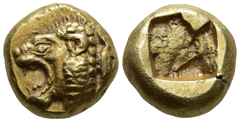 IONIA. Phokaia. (Circa 625/0-522 BC).
EL Hekte (10mm 2.6g)
Obv: Head of roarin...