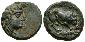 MYSIA. Plakia. (4th century BC).
AE Bronze (12.8mm 1.92g)
Obv: Turreted head of Kybele right.
Rev: ΠΛΑΚΙΑ. Lion, devouring prey, standing right on ...