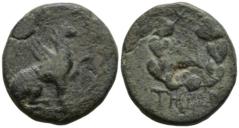 IONIA. Teos. (Circa 3rd century BC)
AE Bronze (17mm 4.04g)
Obv: Griffin seated...