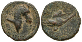 PONTOS. Uncertain. (Circa 130-100 BC)
AE Bronze (14mm 1.69g)
Obv: Head of horse right
Rev: Palm frond tied with fillet.
Cf. SNG BM Black Sea 984 (...