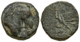 PONTOS. Uncertain. (Circa 130-100 BC)
AE Bronze (11.1mm 1.64g)
Obv: Head of horse right
Rev: Palm frond tied with fillet.
Cf. SNG BM Black Sea 984...