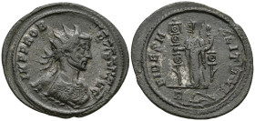 Probus (276-282 AD). Rome
AE Antonininanus (24mm 3.22g)
Obv: IMP PROBVS P F AVG. Radiate and cuirassed bust of Probus, right.
Rev: FIDES MILITVM / ...