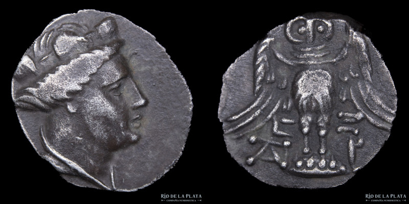 Amisos, Pontos (4th Cent. BC) Siglos. Silver; 15mm; 3.74g. A: Walled crowned hea...
