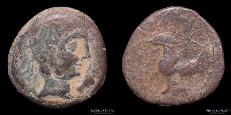 Hispania. Castulo (Linares, Jaen 150-101BC) As. Bronze; 28.0mm; 14.51g. A: Diade...
