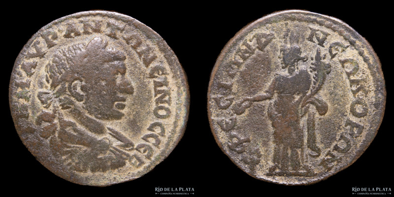 Ephesus, Ionia. Elagabalus (218-222AD). Bronze; 35mm; 19.79g. A: AVT KAI M AVP •...